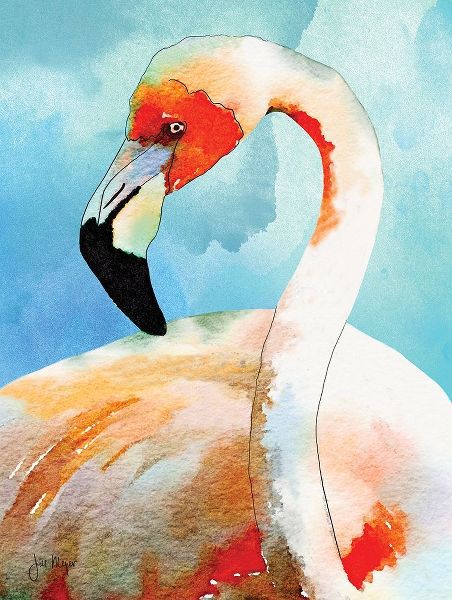 Amazing Flamingos II
