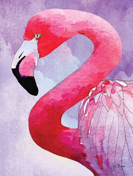 Amazing Flamingos III
