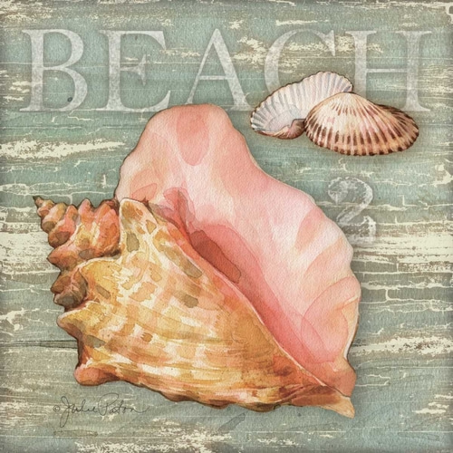 Beach Shells Conch