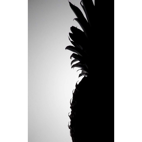 Pineapple Silhouette