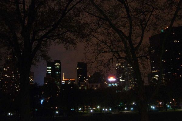 Central Park at Night II