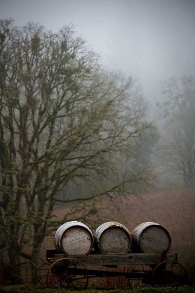 Oregon Wine Country I