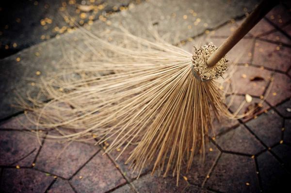 Thai Broom I