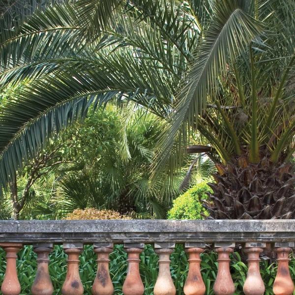 Palace Garden Palms I