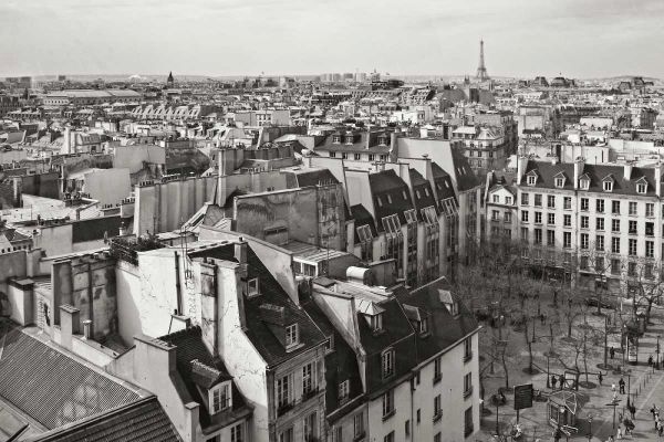 Paris Rooftops VII