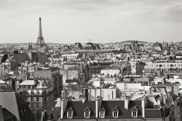 Paris Rooftops VIII