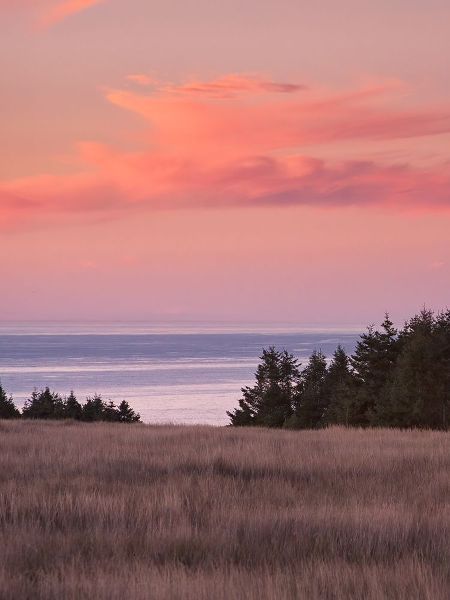 Rosy Coastal Sunset II