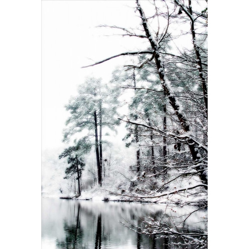Shelly Lake in Winter I