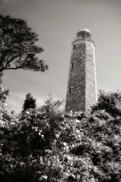 Old Cape Henry Light II