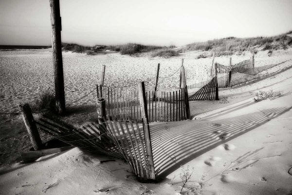 Dunes Fence I