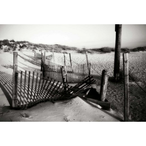 Dunes Fence II