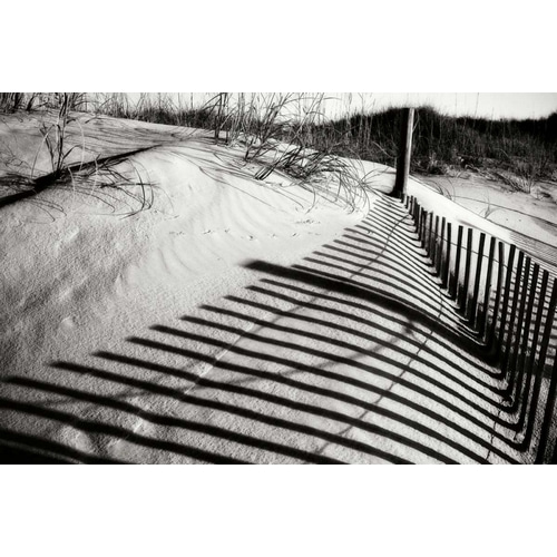 Dunes Fence III