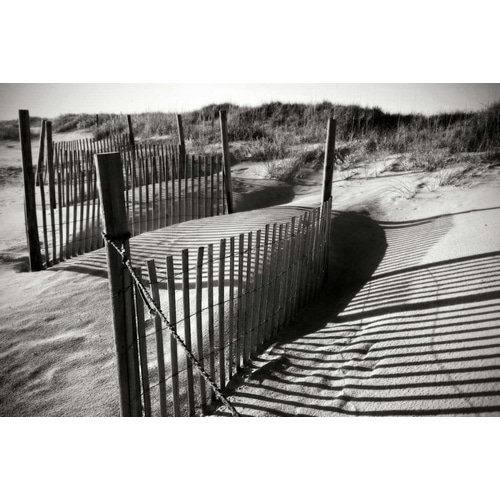Dunes Fence IV