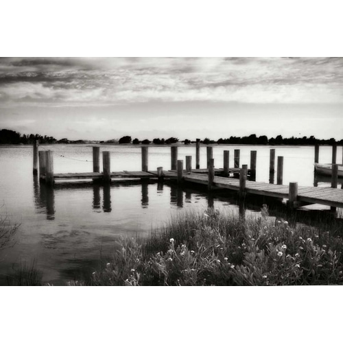 Lonely Dock I