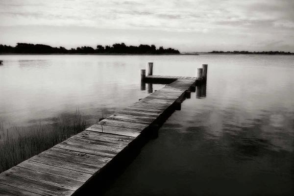 Lonely Dock IV