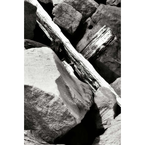 Rocks and Wood II BW