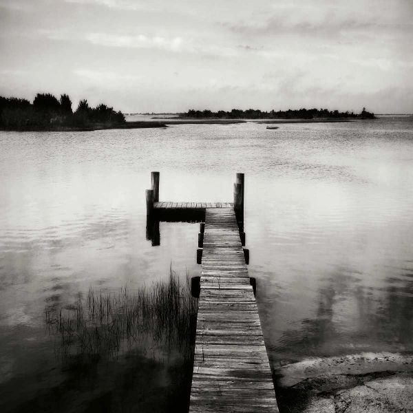 Lonely Dock V