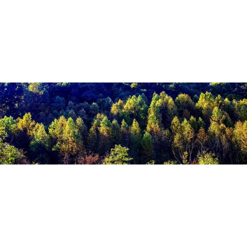 Autumn Ridge I