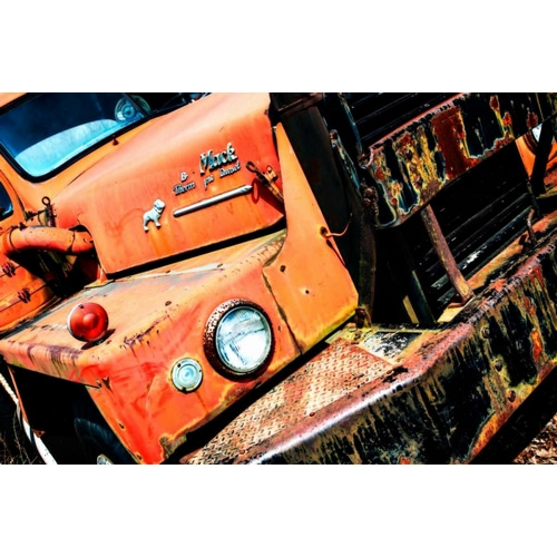 Rusty Old Truck VI