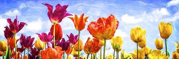 Tulips in the Sun II