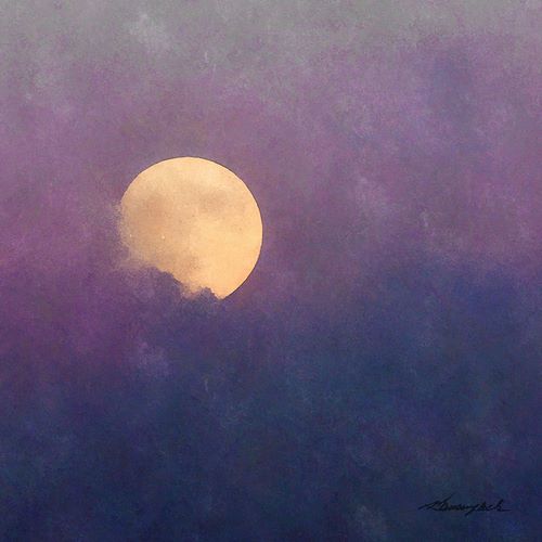 Hausenflock, Alan 아티스트의 Moonrise작품입니다.