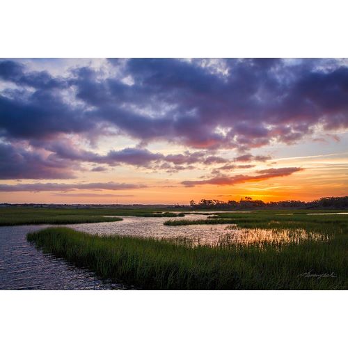 Hausenflock, Alan 아티스트의 Sunset in the Marsh작품입니다.