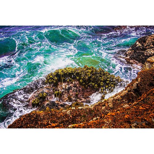 Hausenflock, Alan 아티스트의 Point Lobos Coastline작품입니다.