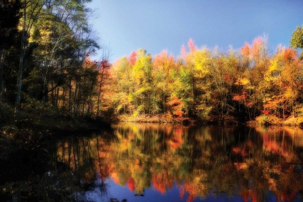 Fall at Three Lakes II