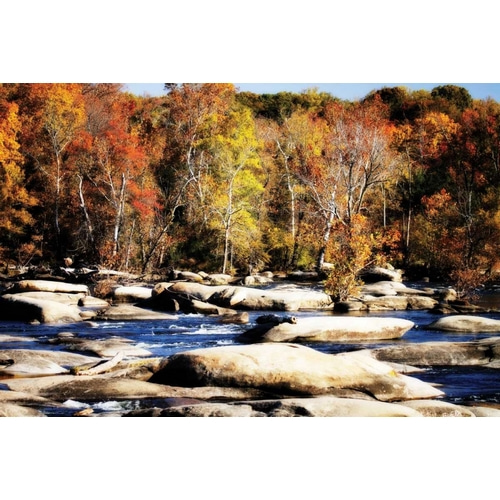 Autumn on the River I