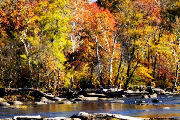 Autumn on the River VIII