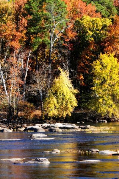Autumn on the River IX