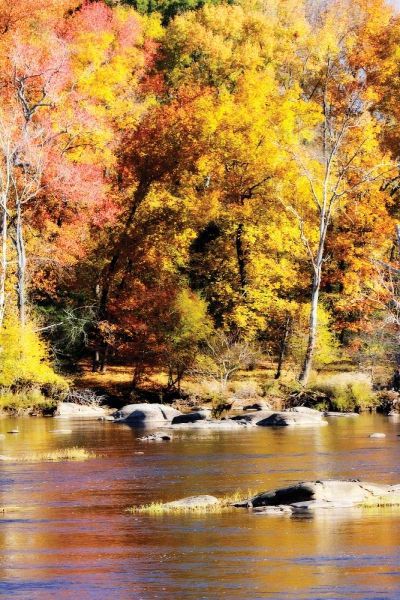 Autumn on the River II