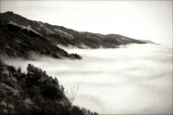 Pacific Fog I