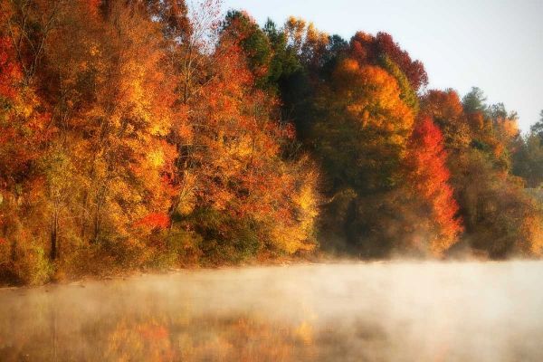 Autumn Mist III