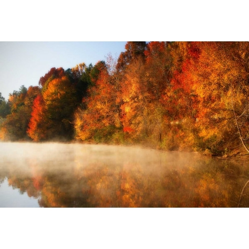 Autumn Mist IV