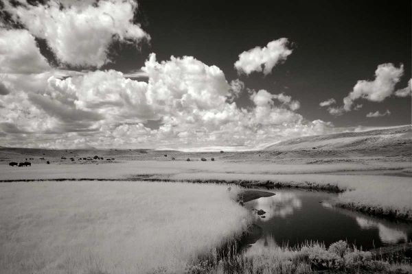 Yellowstone Creek and Clouds I