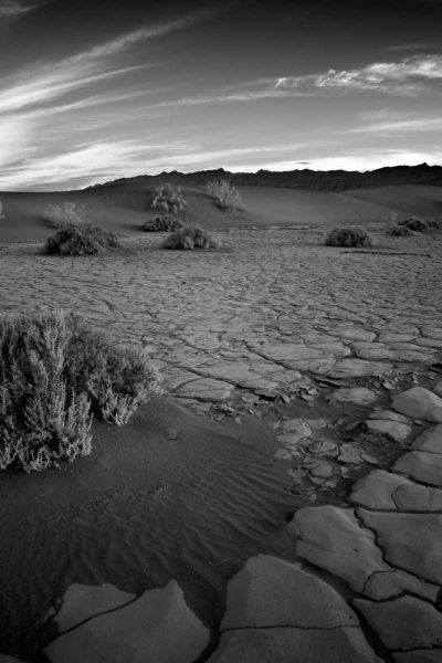 Death Valley Dunes II