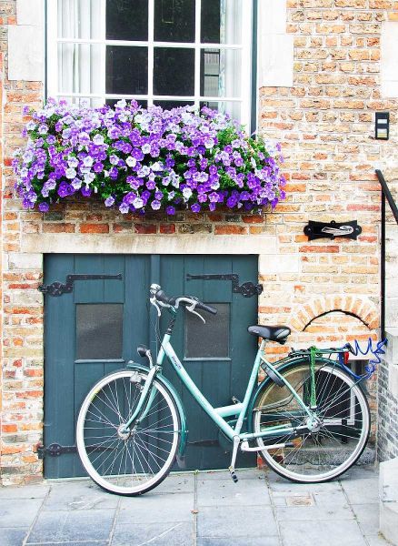 Brugge Door and Bicycle