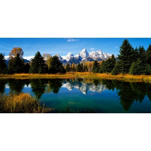 Grand Teton National Park XI