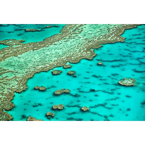 Great Barrier Reef I