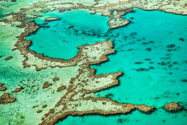Great Barrier Reef III