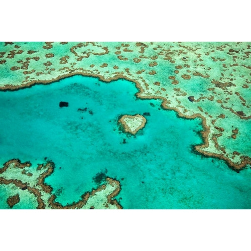Great Barrier Reef IV