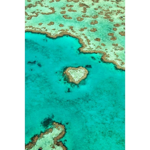 Heart Reef I