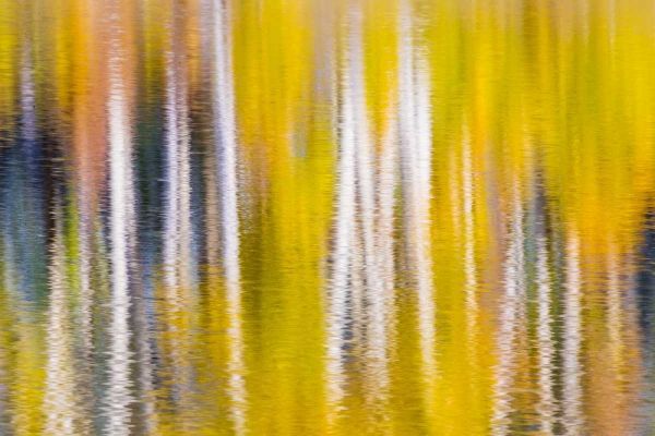 Reflections of Fall I