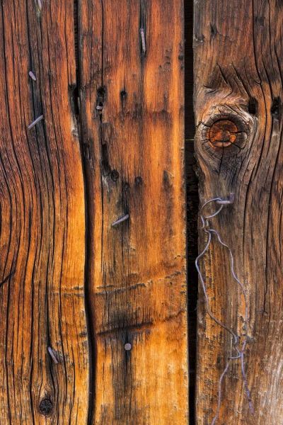 Wood Detail II