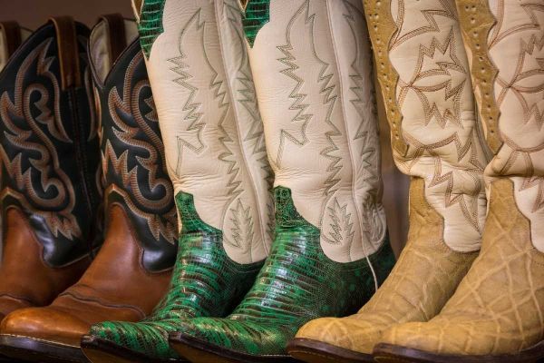 Cowboy Boots II