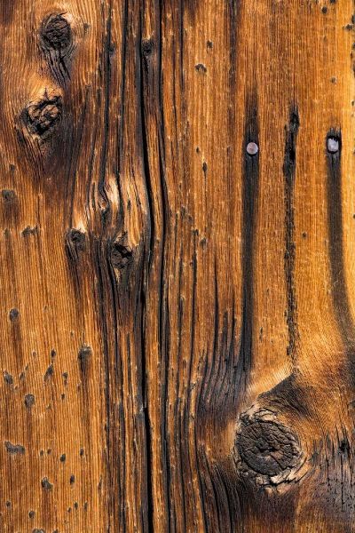 Wood Detail I