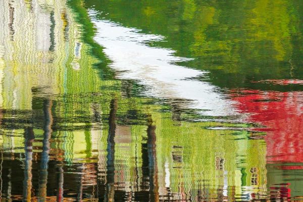 Cannery Reflections I