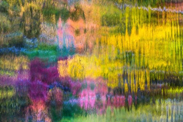 Colorful Reflections V