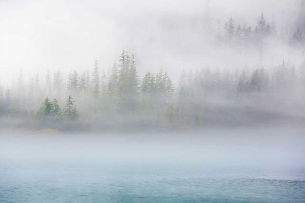 Alaska Fog II